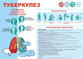 Всемирный день борьбы с туберкулезом Всемирный день борьбы с туберкулезом.
